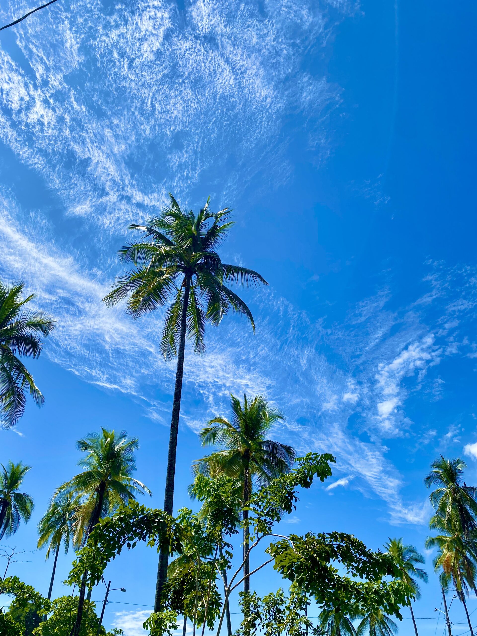 Manuel Antonio