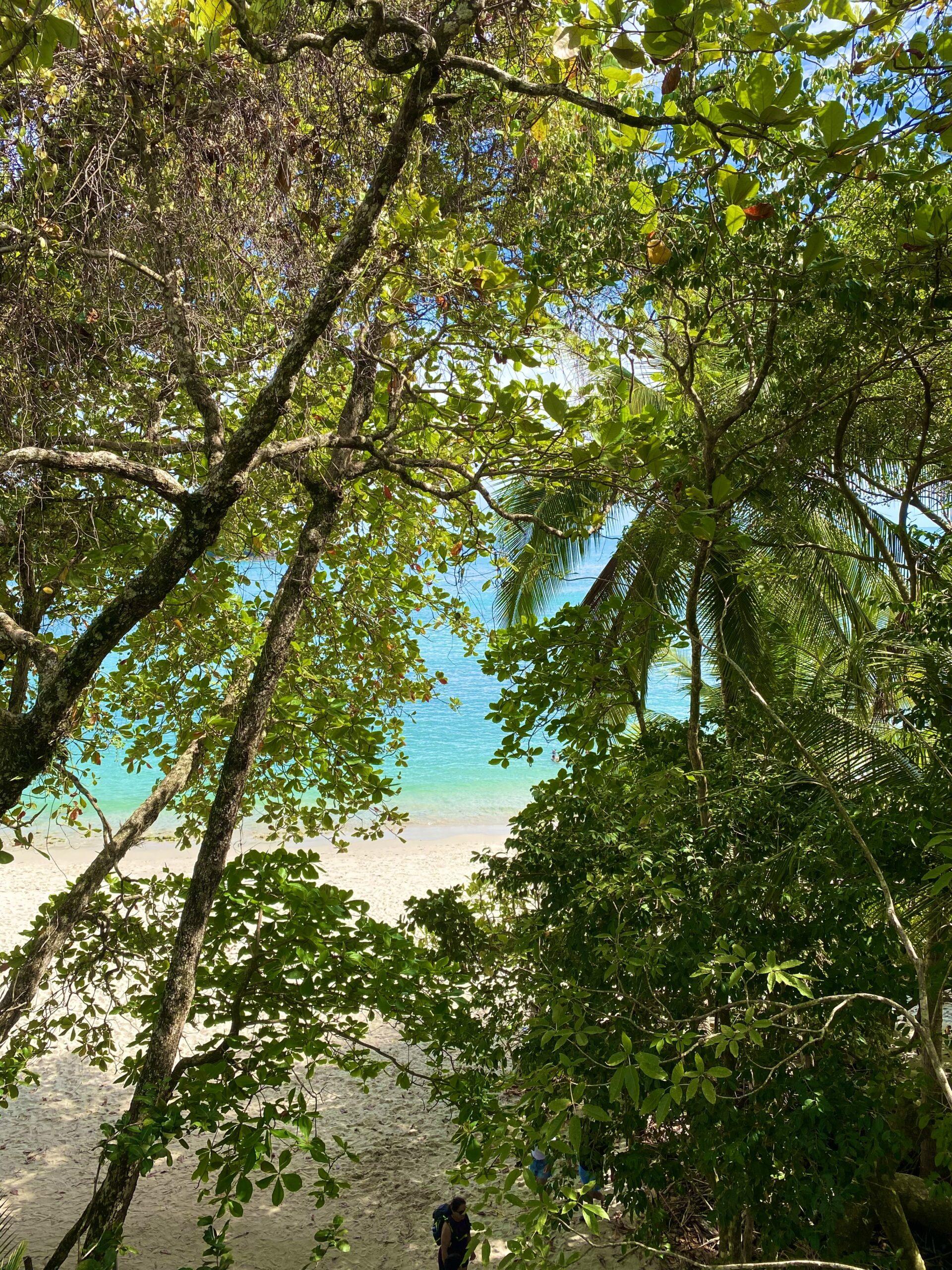 Manuel Antonio